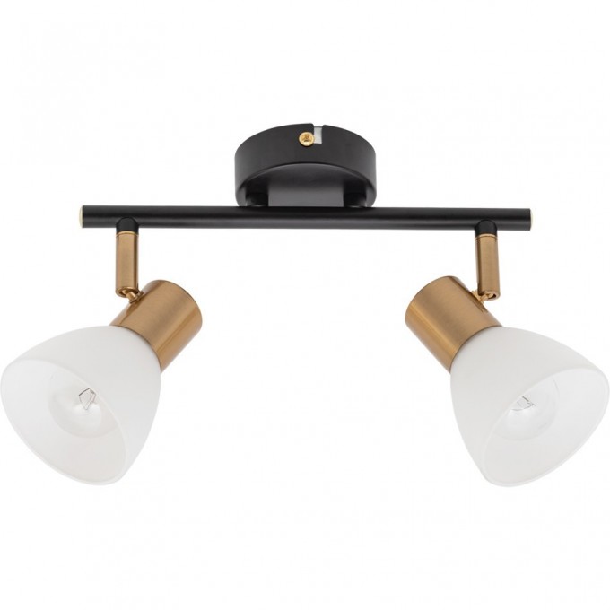 Спот ARTE LAMP FALENA A3117PL-2BK Спот ARTE LAMP FALENA A3117PL-2BK