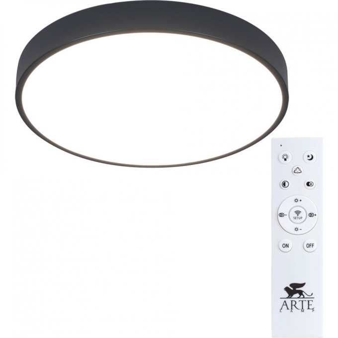 Светильник ARTE LAMP ARENA A2661PL-1BK Светильник ARTE LAMP ARENA A2661PL-1BK