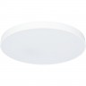 Светильник ARTE LAMP ARENA A2671PL-1WH